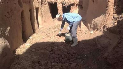 حملة لمكافحة الحيوانات الضالة بمركز 