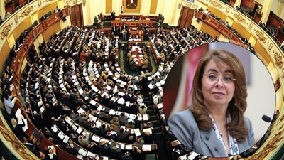 برلماني يتقدم باستجواب لوزيرة التضامن بسبب عدم تفعيل قانون ذوي الإعاقة