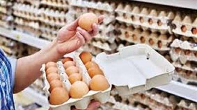 متحدث الزراعة: الجشع التجاري وراء سبب ارتفاع أسعار البيض