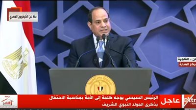 السيسي: الجميع لا يتدخر جهدًا لتحقيق سبل التقدم