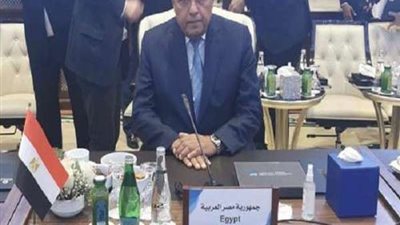 شكري يؤكد على الرؤية المصرية لتسوية سياسية ليبية شاملة