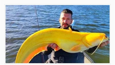 اصطياد سمكة عملاقة 