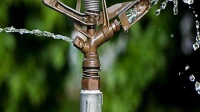 مسئول بالزراعة يكشف عن أسباب إحتياج محاصيل الصيف للماء