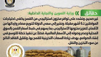 أزمة في توفير القمح بمختلف محافظات الجمهورية.. الحكومة توضح الحقائق