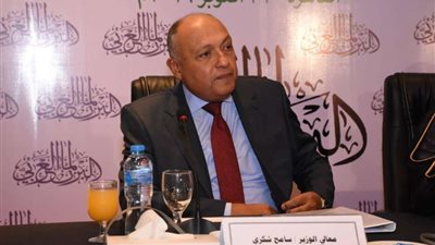 سامح شكري يسخر من تصريح أردوغان بشأن انهيار مصر