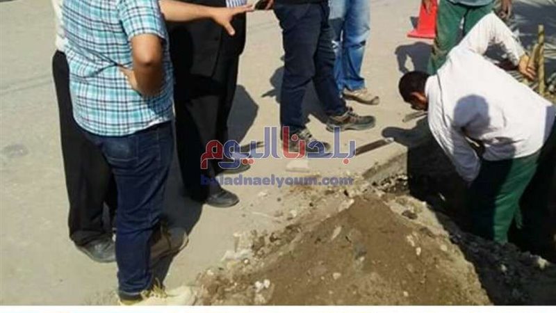 بلدنا اليوم