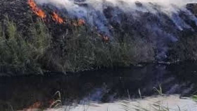 النيران تشتعل في قطعة أرض بجنوب الجيزة والحماية المدنية تحاول السيطرة عليها