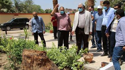 وزارة الزراعة: استعدادات مكثفة للمحاصيل الشتوية