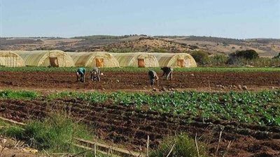 وادي كوم أمبو تحقق 23.4 مليون جنيه في العام الماضي