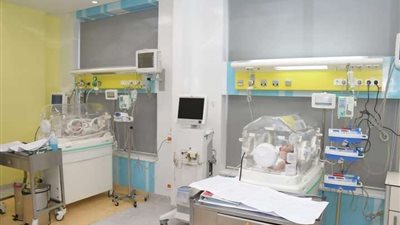 أبو الريش الياباني