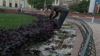 هيئة النظافة تشن حملات رفع كفاءة في الجيزة (صور)