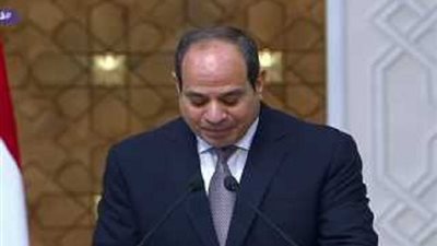 السيسي يؤكد لنظيرة الروماني على التنسيق والتعاون بين البلدين في إطار المحافل الدولية