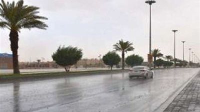 التنمية المحلية: تشكيل فرق رصد ميداني من قطاعي التفتيش والرقابة