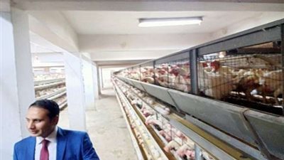مدير مصلحة السجون يتفقد أكبر مزرعة لإنتاج البيض بسجن طرة
