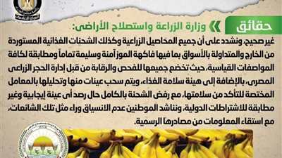 استيراد مصر شحنات فاسدة من فاكهة الموز.. الحكومة توضح الحقائق