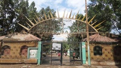 حديقة حيوانات الجيزة تستورد فيل و3 زرافات لسد العجز