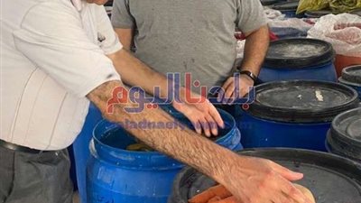 صحة المنوفية تكثف جهودها لمراقبة الأغذية بمنافذ البيع في المحافظة