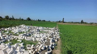 إزالة 8 تعديات بإجمالي مساحة 2063 متر مربع في البحيرة