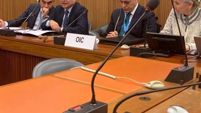 عمر مروان: توصيات مجلس حقوق الإنسان موضع اهتمام مصر