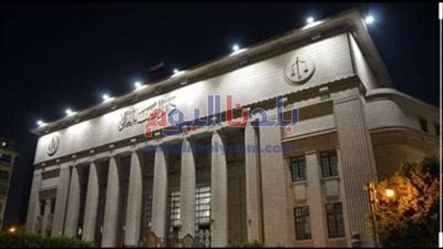 إحالة أوراق المتهمين بقتل والدهم إلى المفتي