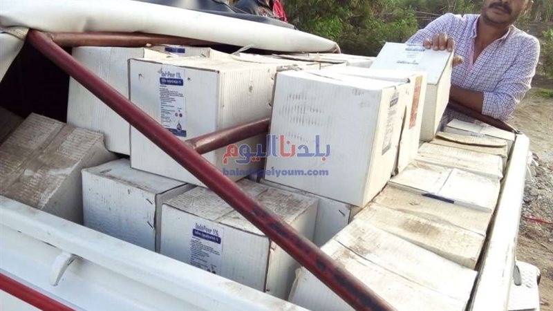 بلدنا اليوم