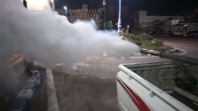 لمواجهة الذباب والحشرات الطائرة.. حملات لرش المبيدات بمطروح