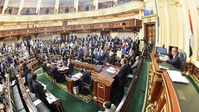 عضوة بالنواب تقدم طلب بزيادة مخصصات الرعاية الاجتماعية