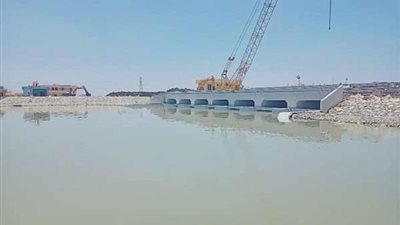 غرامة 5 آلاف جنيه عقوبة قطع شجرة فى أملاك الرى