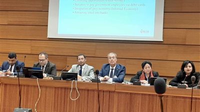 خبراء: الدولة المصرية لديها إرادة سياسية لتحسين أوضاع حقوق الإنسان