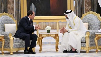 فرج عامر: مباحثات السيسي مع محمد بن زايد تؤكد على عمق العلاقات التاريخية