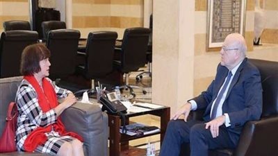 ميقاتي ومنسقة الأمم المتحدة يبحثان جلسة مجلس الأمن المقبلة