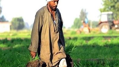 برلماني: معاش الفلاح يستهدف الفئات الأكثر احتياجًا