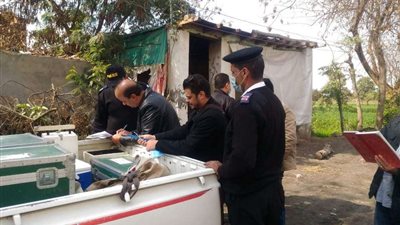 ضبط 268 سيارة و28مكمورة فحم و21مصنع طوب مخالفين لقانون البيئة بالشرقية