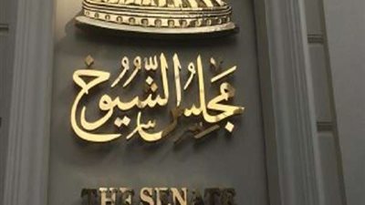 التعليم بالشيوخ تناقش مخاطر الأمن السيبراني.. اليوم