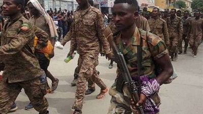 سقوط أهم مدن أثيوبيا في يد المعارضة.. التفاصيل