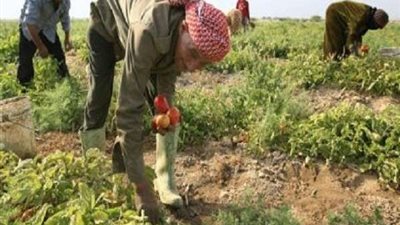 أستاذ تخطيط يوضح تفاصيل قانون 