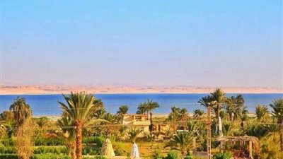 الفيوم تستضيف ملتقى أرسينوي الدولي للفن المعاصر بقرية تونس