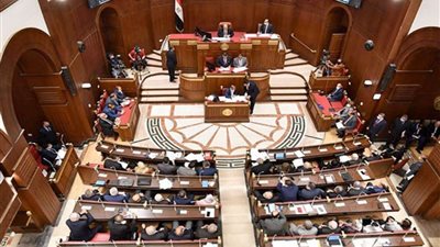 مجلس الشيوخ يوافق على مواد مقترحة من تنسيقية الأحزاب 