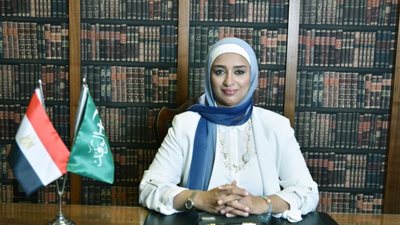 النائبة أميرة ابوشقة تطلق مبادرة للم شمل الأسرة المصرية