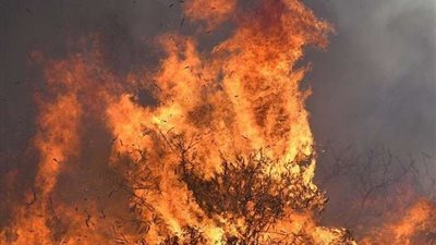 عاجل .. اندلاع عدة حرائق في إسرائيل