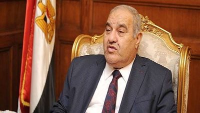 رئيس الدستورية العليا: المحكمة تتولى تفسير القوانين والتشريعات
