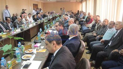 نائب رئيس شعبة الكرتون: عشوائية الاستيراد سبب غرق صناعة الورق