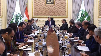 رئيس الوزراء يعقد اجتماعا لبحث تحديات المستثمرين في قطاع الدواء (صور)