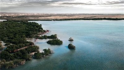 قافلة من الإبل تسبح في البحر