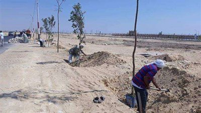 الفيوم تواصل حملات إزالة التعديات واسترداد أملاك الدولة بمركز طامية