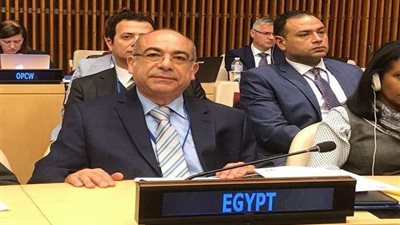 السفير محمد إدريس: السلم والأمن الدوليين لا يمكن أن يتحققا عبر سياسات الردع