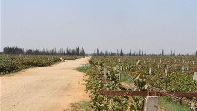 زراعة المنوفية تدعو المزارعين إلى ترشيد استهلاك المياه في قافلة توعوية
