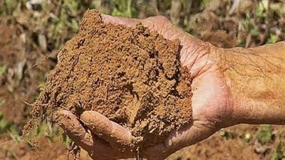 يطلب تذوق الطين.. أستاذ هندسة بيئية: في أوروبا الطين علاج للأمراض الجلدية