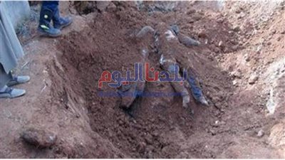 زوجة تدفن زوجها حيا فى الدقهلية