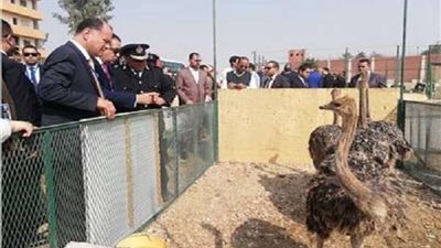 مصلحة السجون تنظم زيارة لوفد برلماني وإعلامي في سجن برج العرب.. اليوم